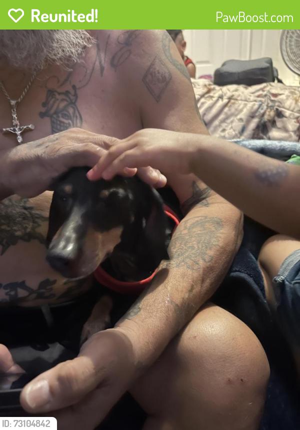 Reunited Female Dog last seen Deerfield dr and gold star, San Antonio, TX 78218