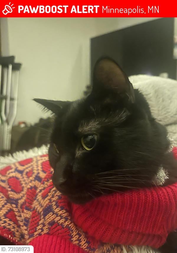 Lost Male Cat last seen Near w 82nd St, Minneapolis, MN 55431
