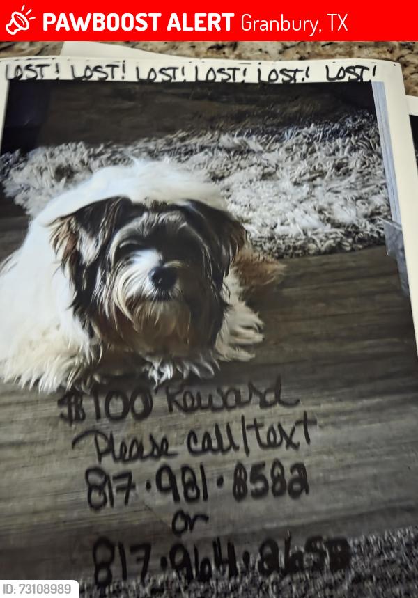 Lost Male Dog last seen Chicken Express, Granbury, TX 76048