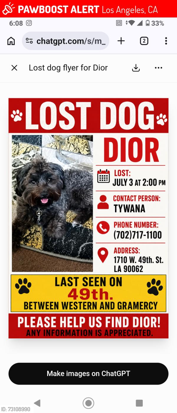 Lost Male Dog last seen 49th Street and western, Los Angeles, CA 90062