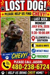 Reunited Male Dog last seen Ellsworth and southern, Mesa, AZ 85209