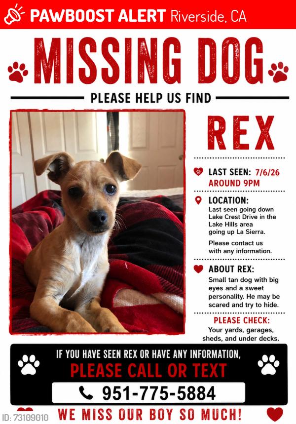 Lost Male Dog last seen Going down Lake crest dr, lake hills area turned right going up La sierra, Riverside, CA 92503
