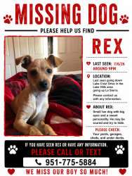 Lost Male Dog last seen Going down Lake crest dr, lake hills area turned right going up La sierra, Riverside, CA 92503