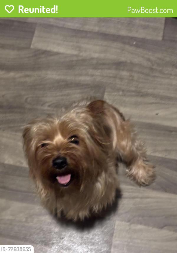 Reunited Male Dog last seen N Monroe street, Wilmington, DE 19802