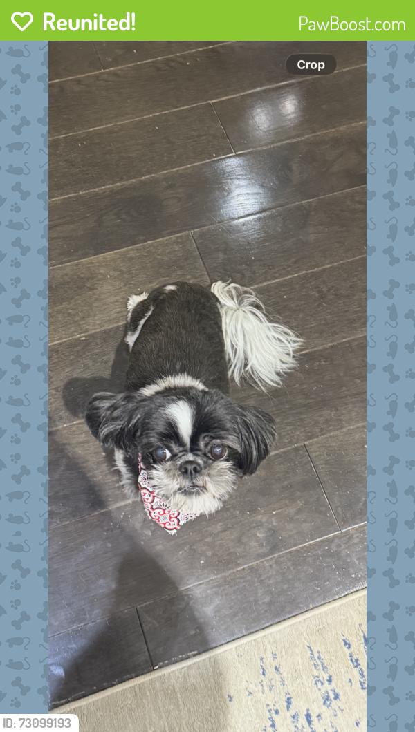 Reunited Female Dog last seen Woodmere Way Ct in the Bluffs neighborhood, Saint Charles, MO 63303