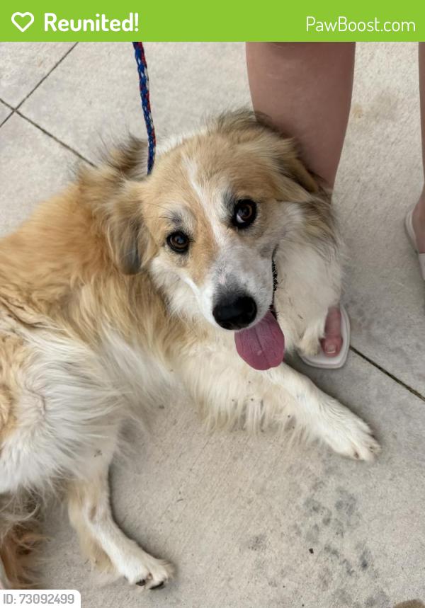Reunited Female Dog last seen Post & Covell, Arcadia, OK 73007