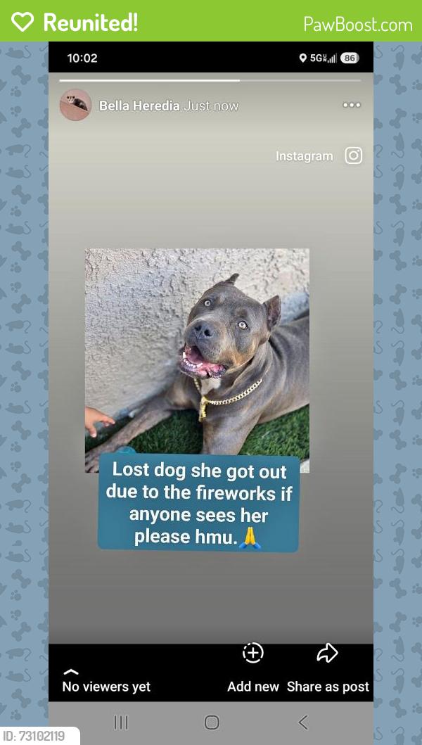 Reunited Female Dog last seen Perris, CA, USA, Perris, CA 92572