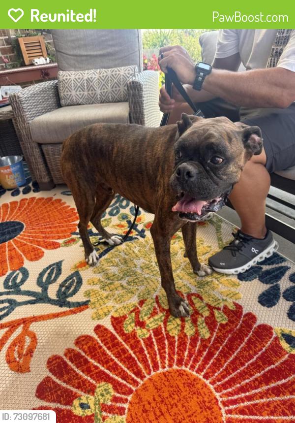 Reunited Male Dog last seen Lonestar Parkway, Montgomery, TX 77356
