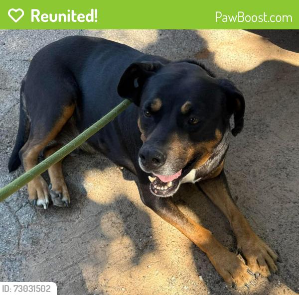 Reunited Male Dog last seen 30th and College, Bethany, OK 73008