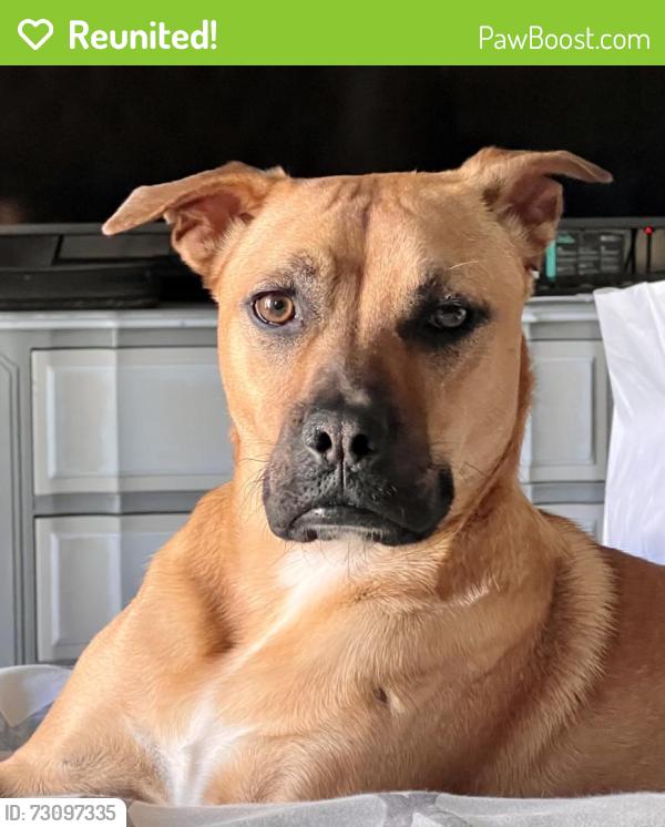 Reunited Male Dog last seen Pauba Park, Temecula, CA 92592
