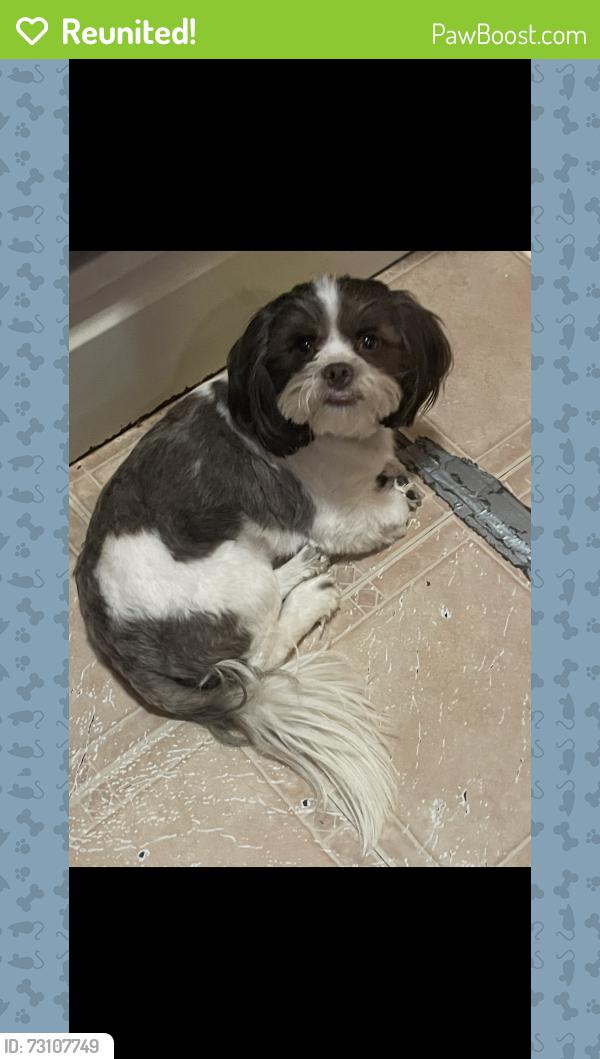 Reunited Male Dog last seen Near Boyce Ave, Memphis, TN 38111, USA, Memphis, TN 38111