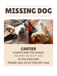 Reunited Male Dog last seen Buena Vista road, Columbus, GA 31907