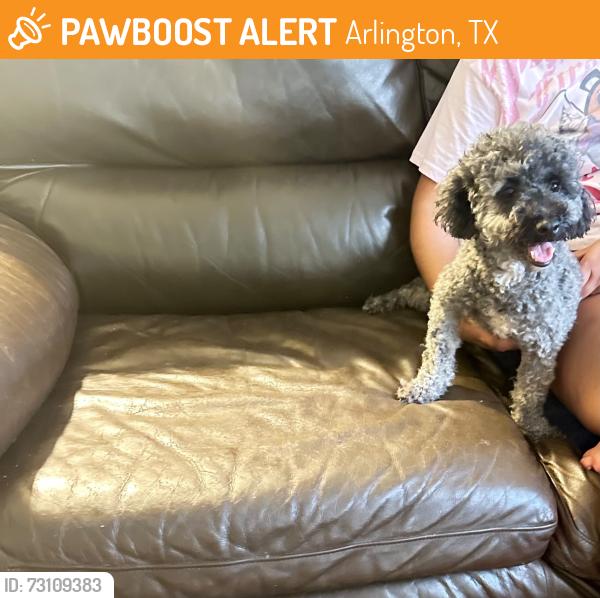 Found/Stray Male Dog last seen parkway lane, Arlington, TX 76010