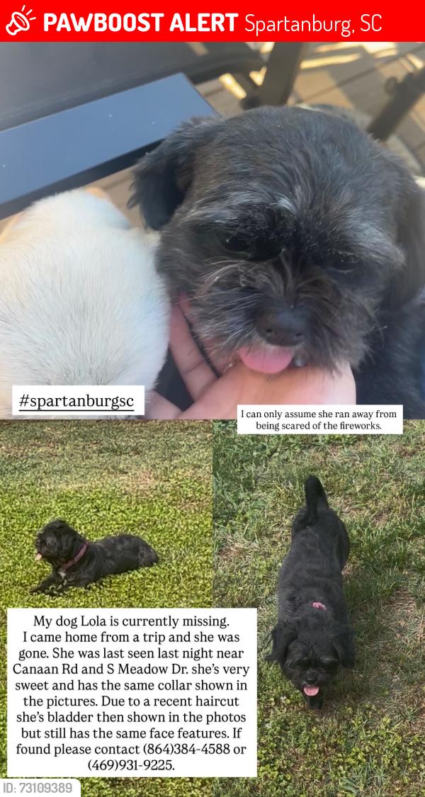 Lost Female Dog last seen Canaan Rd, Spartanburg, SC 29306