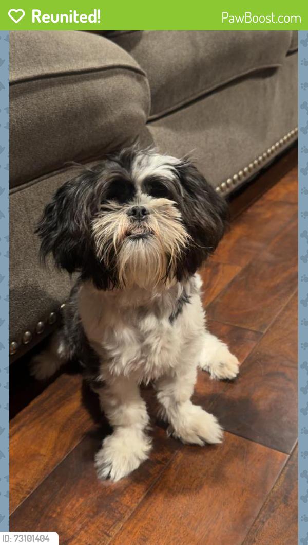Reunited Male Dog last seen Old Settlers Park where the fireworks were being shown on 4th of July, Round Rock, TX 78681