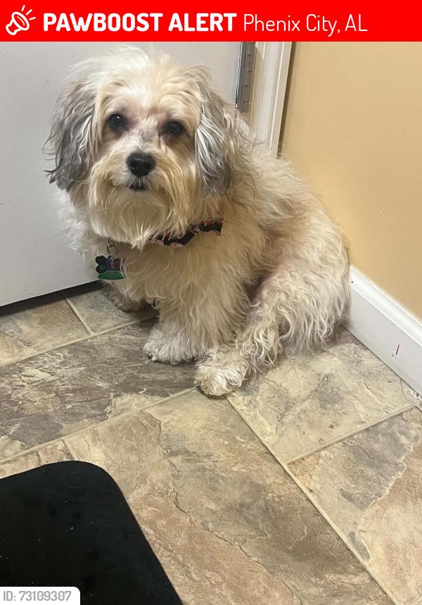 Lost Male Dog last seen Girard Junior High, Phenix City, AL 36869