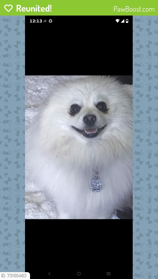 Reunited Male Dog last seen Parchester village near point pinole park, Richmond, CA 94806