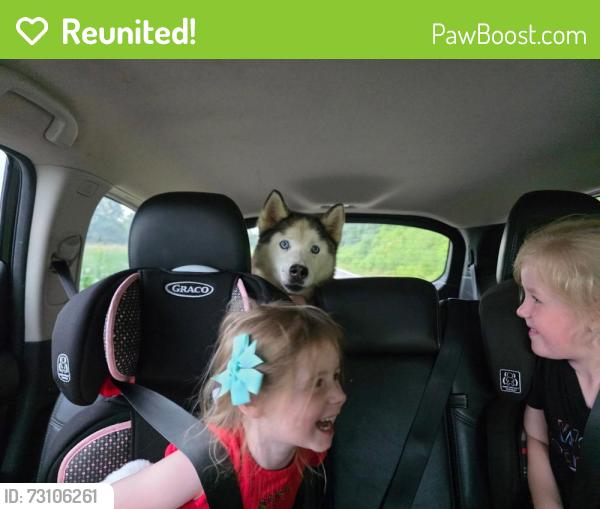 Reunited Male Dog last seen Off of Harrison Pike and onto Bancroft Rd. Also across from Beatyview Farm, McDonald, TN 37353