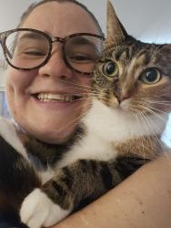Reunited Female Cat last seen Near spruce mill lane, Scotch Plains, NJ 07076