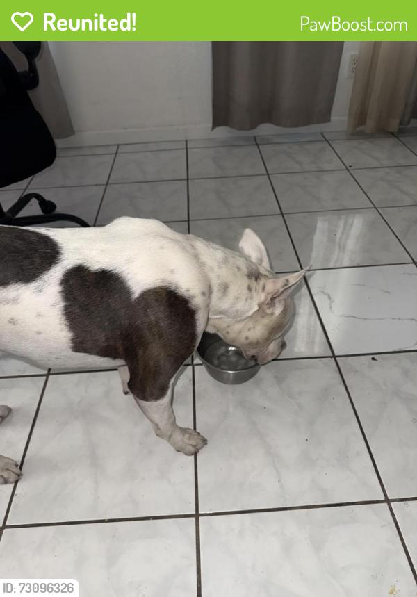 Reunited Male Dog last seen Del paso heights, Sacramento, CA 95838