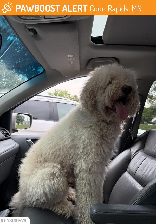 Found/Stray Male Dog last seen Coon rapids blvd, Coon Rapids, MN 55433
