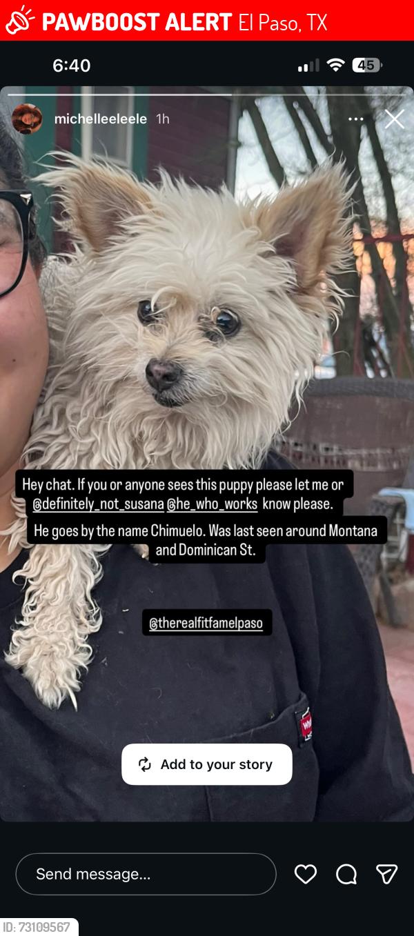 Lost Male Dog last seen On the street of Dominican, to the intersection in the road, El Paso, TX 79936