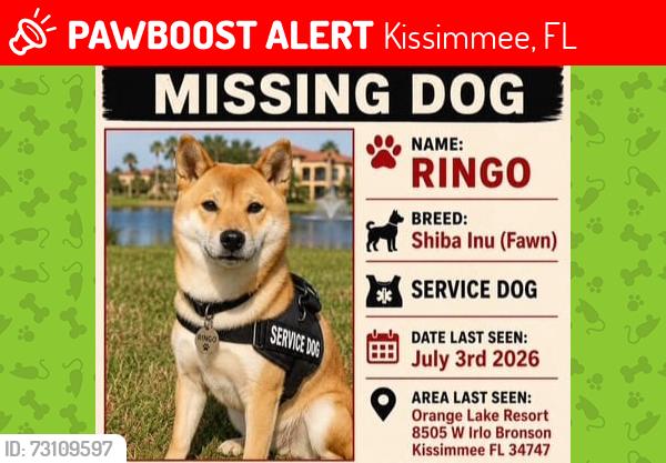 Lost Male Dog last seen Orange Lake Resort, Kissimmee, FL 34747