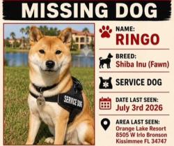 Lost Male Dog last seen Orange Lake Resort, Kissimmee, FL 34747