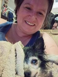 Reunited Unknown Dog last seen Peachtree circle, Oak Trail Shores, TX 76048