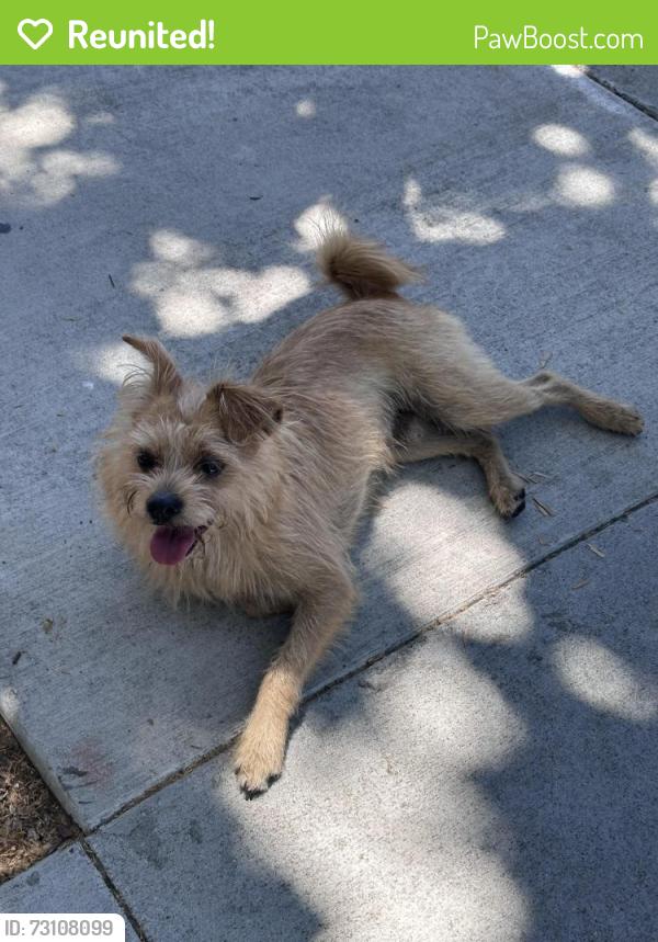 Reunited Male Dog last seen Martha St and S 6th St, San Jose, CA 95112