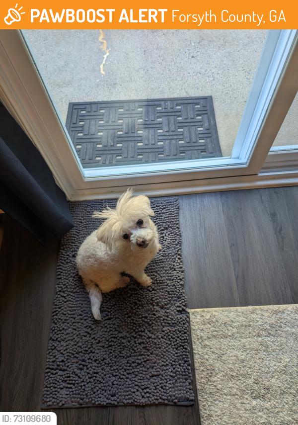 Found/Stray Female Dog last seen Sugar Ridge Dr, Forsyth County, GA 30024