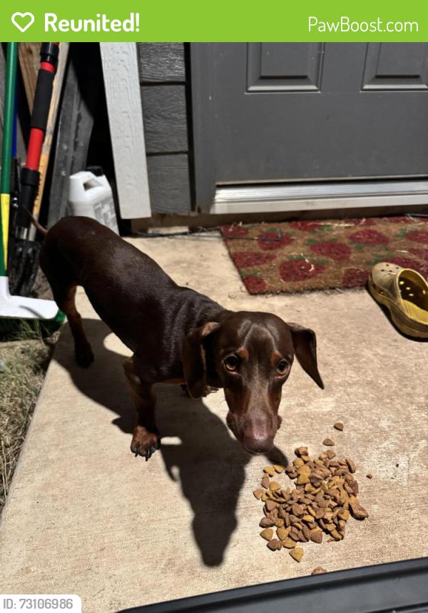 Reunited Male Dog last seen Hidden Oasis St, San Antonio, TX 78253