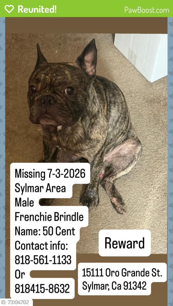 Reunited Male Dog last seen Oro grande, Los Angeles, CA 91342