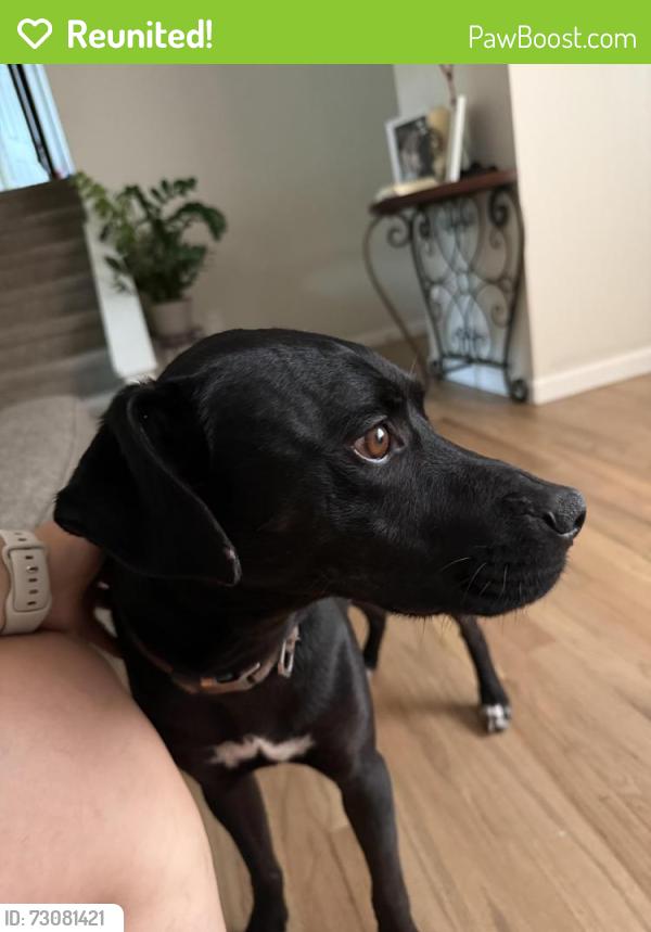 Reunited Male Dog last seen Sable blvd & 6th Ave, Aurora, CO 80011