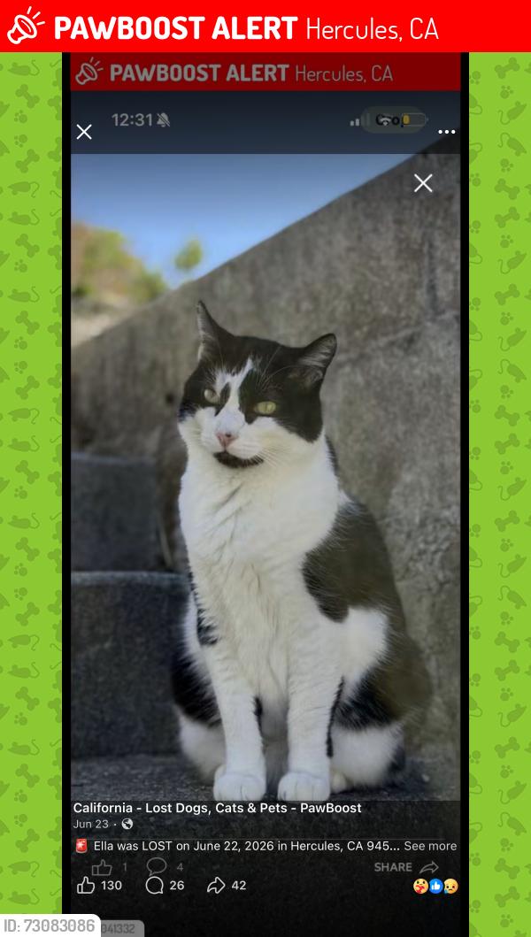 Lost Female Cat last seen Lupine road, Hercules, CA 94547