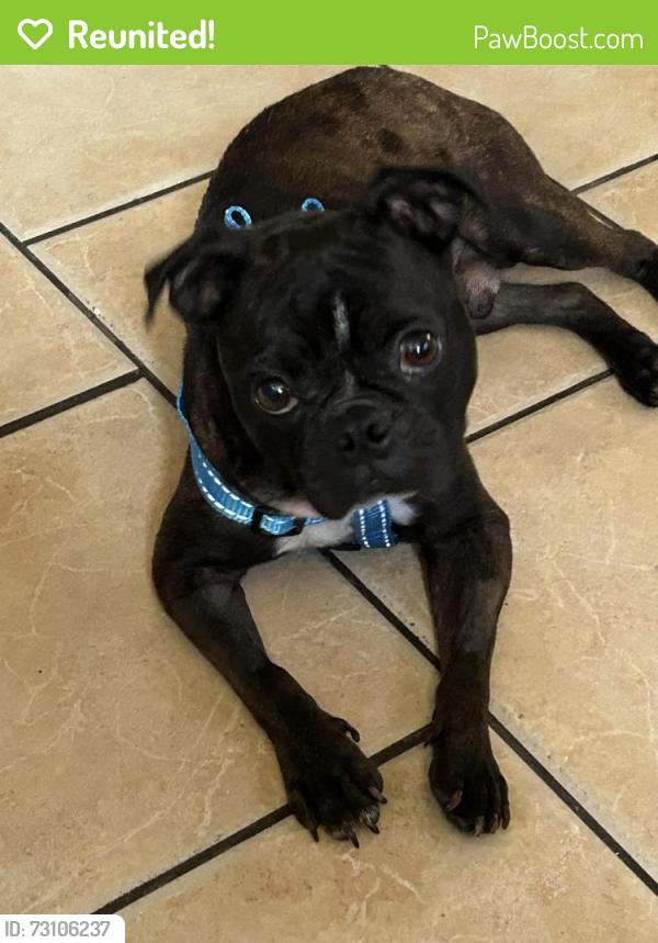 Reunited Male Dog last seen Valley Bay, San Antonio, TX 78250