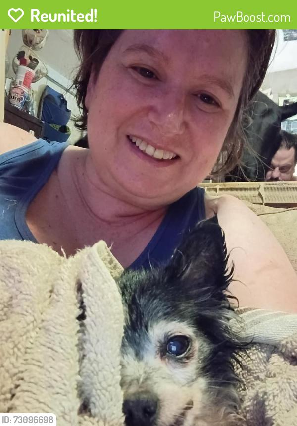 Reunited Unknown Dog last seen Peachtree circle, Oak Trail Shores, TX 76048
