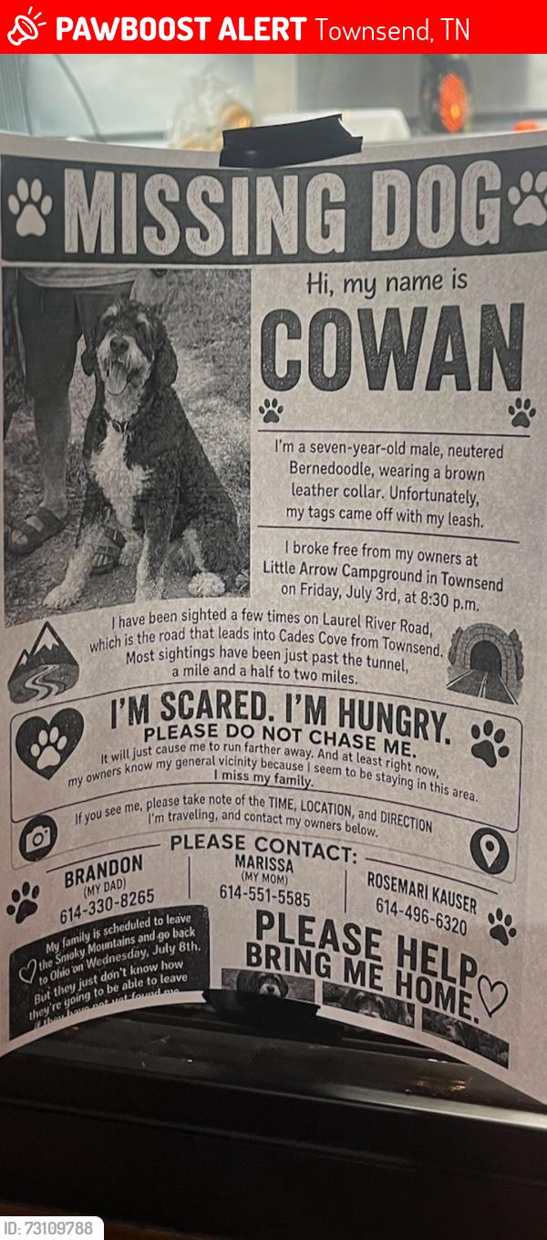 Lost Male Dog last seen Laurel River Road near tunnel, Townsend, TN 37882