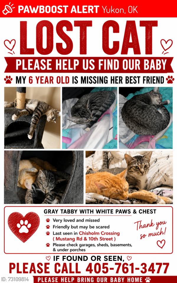Lost Female Cat last seen Mustang rd & 10th, Yukon, OK 73099