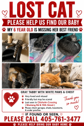 Lost Female Cat last seen Mustang rd & 10th, Yukon, OK 73099