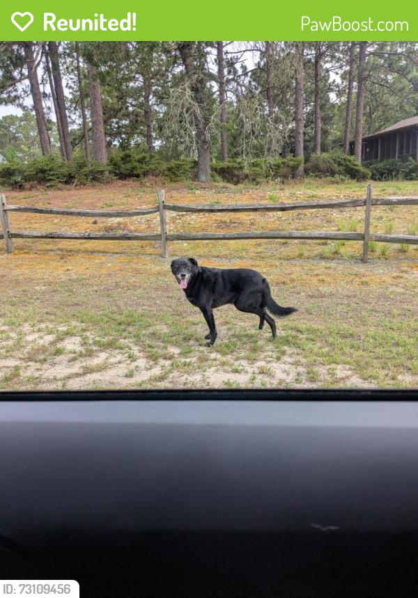 Reunited Male Dog last seen Hunters Ridge Neighborhood, Pine Forest, NC 28311