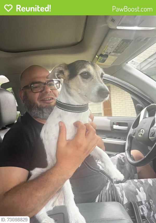 Reunited Male Dog last seen West shore dr and royal crest, Garland, TX 75041
