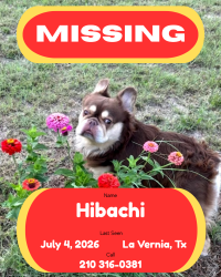 Lost Male Dog last seen Triple R ests in Lavernia, La Vernia, TX 78121
