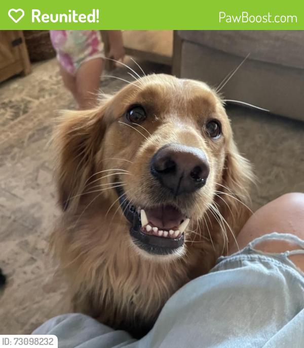 Reunited Female Dog last seen Texas City by College of the Mainland, Texas City, TX 77591