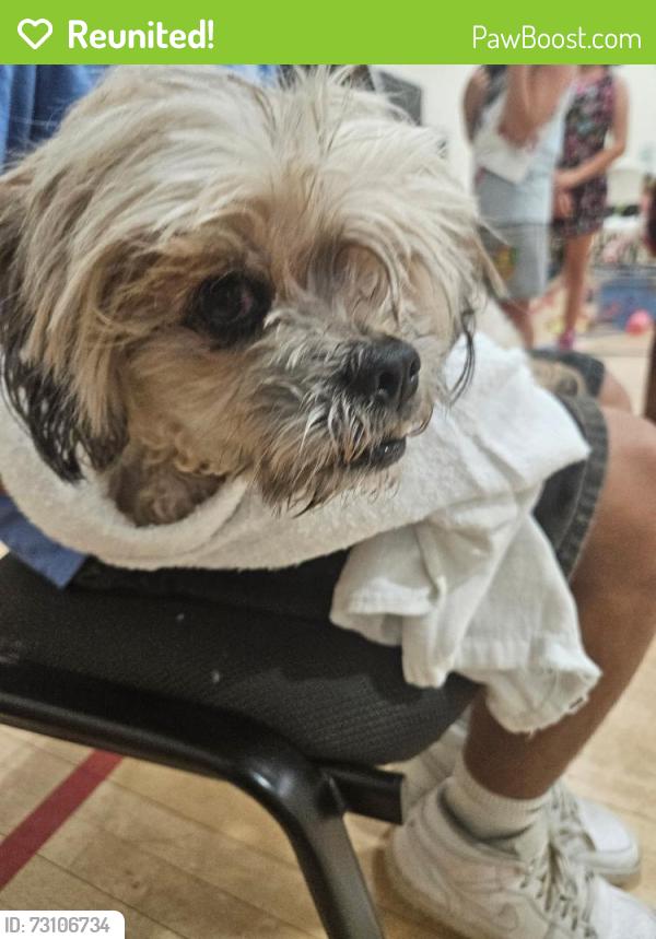 Reunited Male Dog last seen Midwest City YMCA, Midwest City, OK 73110