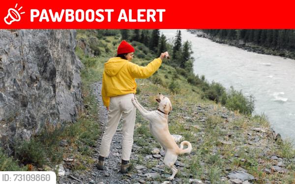 Lost Male Dog last seen Ross Creek Dental, Fort Saskatchewan, AB 