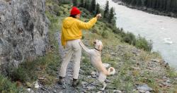 Lost Male Dog last seen Ross Creek Dental, Fort Saskatchewan, AB 