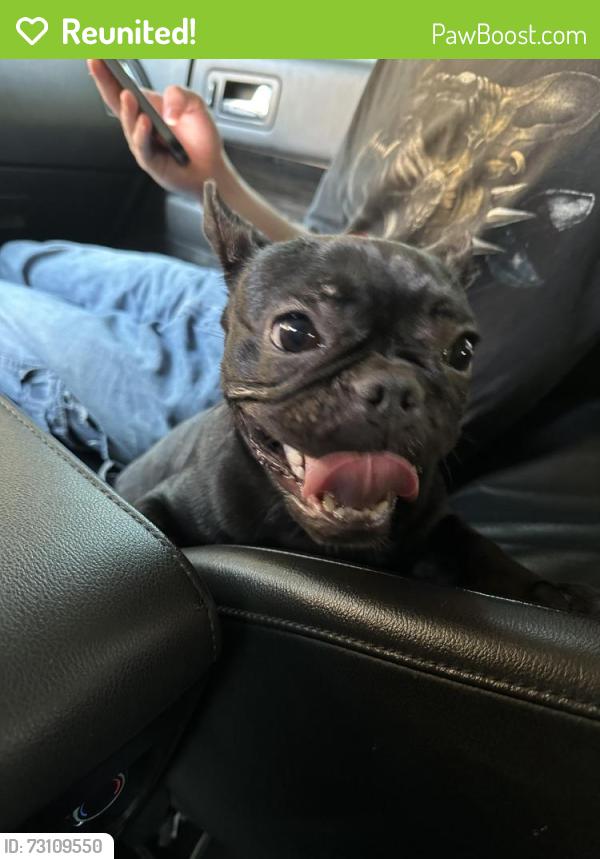 Reunited Female Dog last seen Rankin YMCA, Edmond, OK 73034