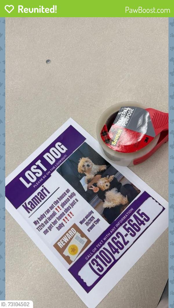 Reunited Female Dog last seen Near W 112th St, Inglewood, CA 90303, USA, Inglewood, CA 90303