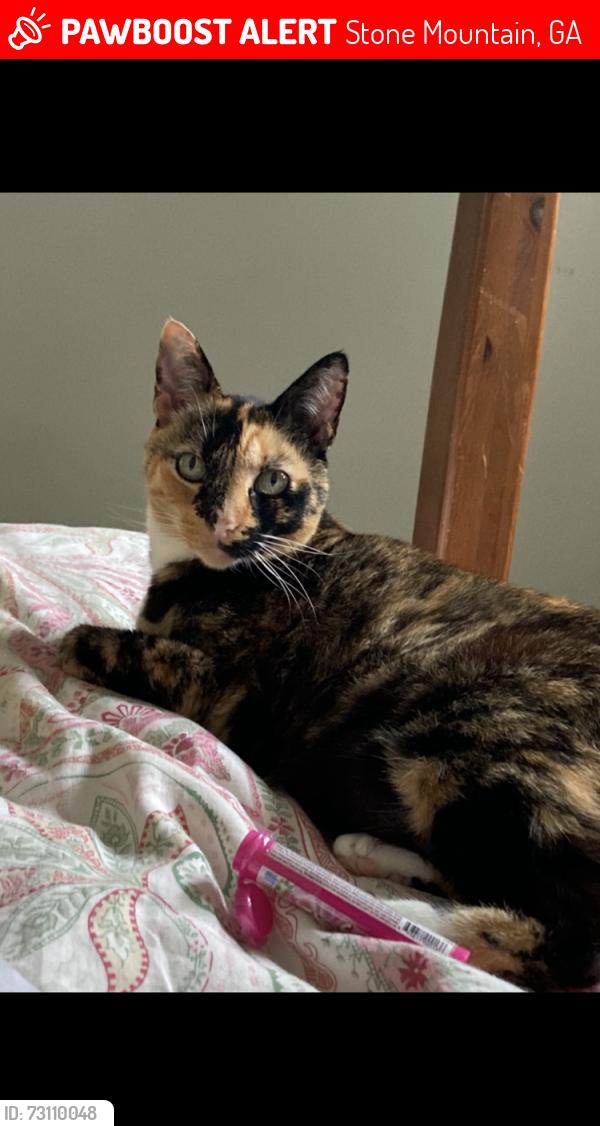 Lost Female Cat last seen Rockbridge road, Stone Mountain, GA 30087